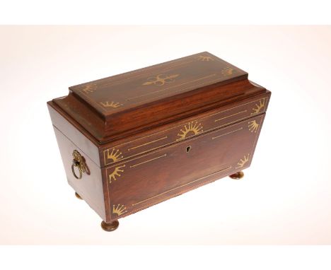 A REGENCY BRASS INLAID ROSEWOOD TEA CADDY, of sarcophagus form, the interior with twin lidded canisters and later glass mixin