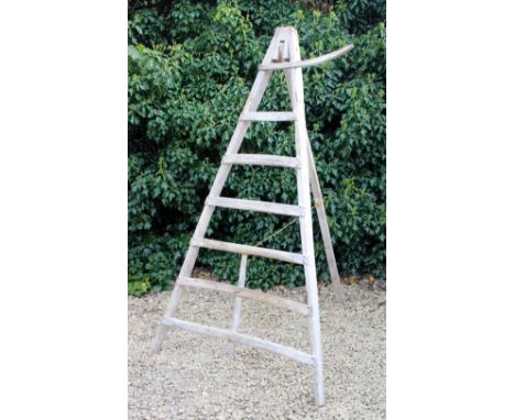 A 19TH CENTURY GRADUATED FRUIT PICKING LADDER 190cm in length