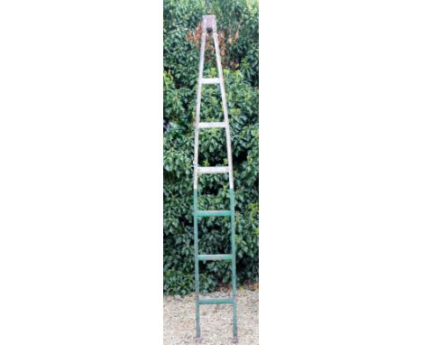 AN OLD GREEN AND WHITE PAINTED GENERAL CLEANING CONT LIMITED LADDER 225cm in length