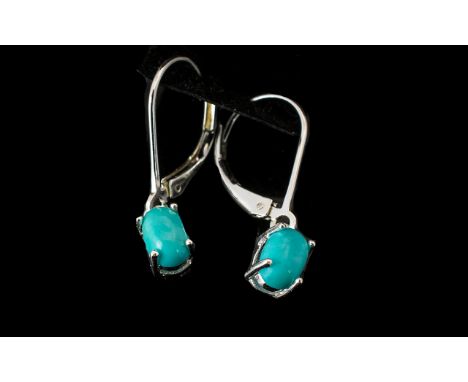 Sleeping Beauty Turquoise Drop Earrings, two oval cut cabochons of turquoise, from the Sleeping Beauty Mine in the USA, which
