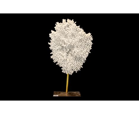 Decorative Item, Faux Mounted Decorative Coral Module of Oval Shape. 24 Inches High &amp; 14 Inches Wide. 