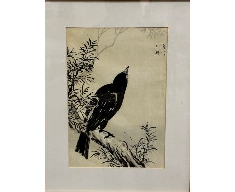 Kono Bairei, (1844-1895), print on coloured paper of a blackbird on a branch, highlights of colour, paper label verso, signed