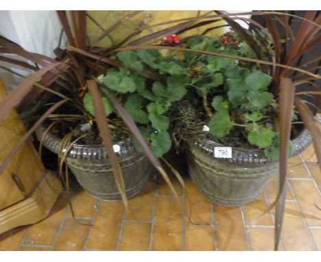 CERAMIC PLANTERS. Two large ceramic planters with cordeline plants