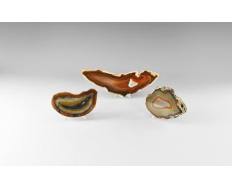 A group of three thick agate slabs of varying types of banded agate, one with chalcedony-lined hollow, all polished on one si