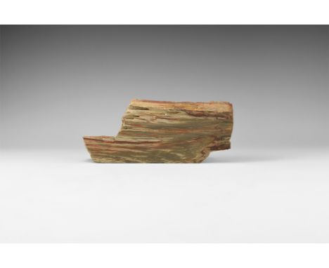 Miocene Period, 20 million years BP. A section of petrified wood, one side polished to show colours and structure.  1.43 kg, 