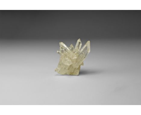 A cluster of transparent and finely-formed prismatic quartz crystals on matrix, in white card tray. See Bonewitz, Dr. Ronald 