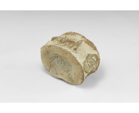 Jurassic Period, 165 million years BP. A large fossil plesiosaur vertebra; with label.  421 grams, 90mm (3 1/2"). Property of