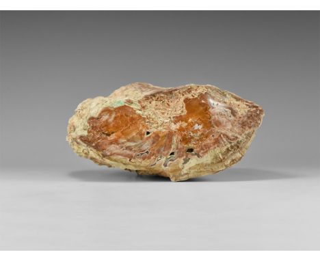 Triassic Period, 250-200 million years BP. A section of fossilised wood with a polished face from Madagascar.  3831 grams, 22
