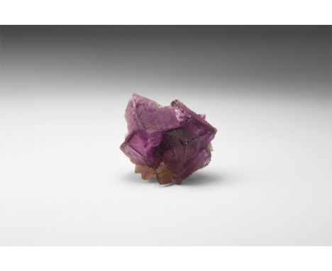 A cluster of transparent purple fluorite cubes, most showing colour zoning, in old white card tray. See Bonewitz, Dr. Ronald 