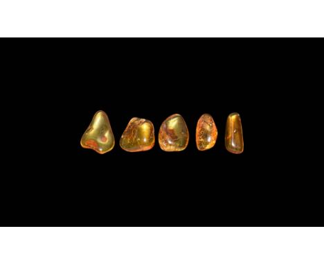 Oligocene Period, 45 million years BP. A group of five pieces of Baltic amber each containing flies together with other inclu