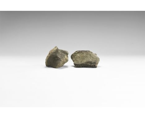 Lower Cretaceous Period, 120 million years BP. A pair of iguanodon bone sections from the Wealden Clay, Isle of Wight, U.K.  