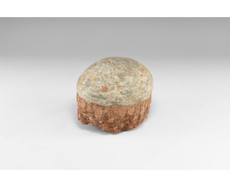 Cretaceous Period, 145-65 million years BP. A fossil hadrosaur Charonosaurus egg on matrix, retaining evidence of the origina