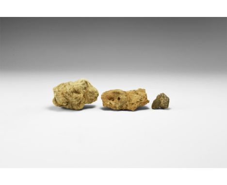 Jurassic Period, 200-145 million years BP. A group of two fossil corals from Wales, in old white card trays with A.B. Cotteri