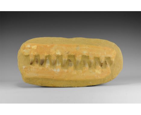 Lower Cretaceous Period, 146-100 million years BP. A group of Mosasaur sp. teeth, some with very good enamel; from the Albian