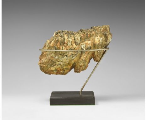 Pleistocene Period, 2.6 million years-11,700 years BP. A Mammuthus primigenius tooth from Brown Bank, Lowestoft, UK, with sta