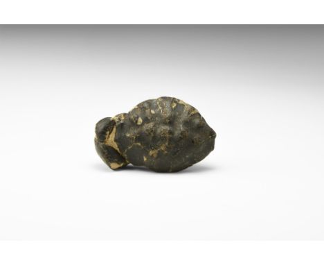 Eocene Epoch, 56-49 million years BP. A Xauthopsis leachi fossil crab from the Isle of Sheppey, Kent, with complete carapace 