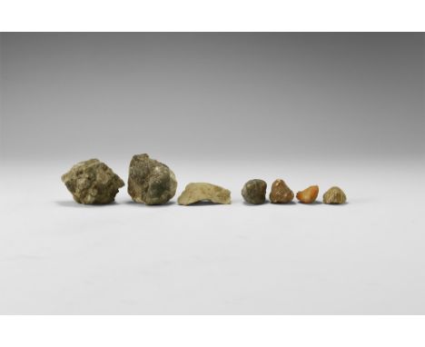 Carboniferous-Jurassic, 359-145 million years BP. A group of seven brachiopod specimens, including four spirifers (two in mat