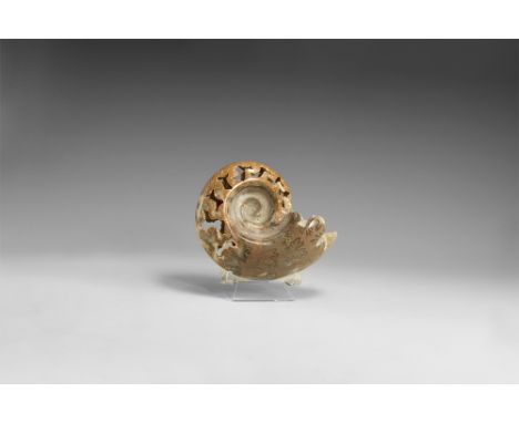 Jurassic Period, Bacocian stage, 168-172 million years BP. A large polished Lytoceras polyanchomenum chambered ammonite, disc