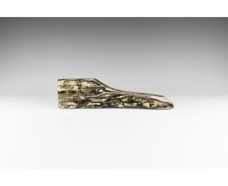 Miocene Period, 20 million years BP. A section of petrified wood, the surfaces polished to show the colour and structure.  2.