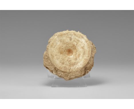 Eocene Period, 50 million years BP. A fossil Otodus obliquus vertebra in matrix; with label.  128 grams, 90mm (3 1/2"). Prope