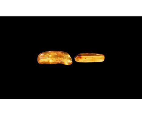 Oligocene Period, 45 million years BP. Two large clear pieces of Baltic amber containing insects together with other inclusio