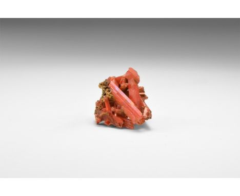 A specimen comprising a number of bladed red-orange crocoite crystals on matrix, in old white card tray. See Bonewitz, Dr. Ro