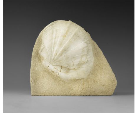 Miocene Period, 23-5.3 million years BP. A free-standing Pecten plaque from Southern France.  2831 grams, 24.5cm (9 1/2"). Fr