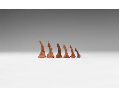 Upper Cretaceous Period (Campanian), 76-75 million years BP. A group of six Onchopristus numidus sawfish rostral teeth from t