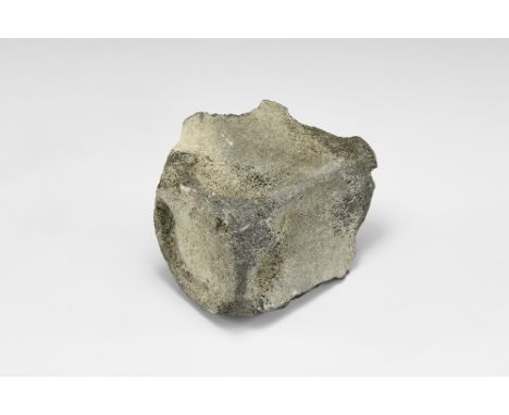 Miocene Period, 23-5 million years BP. A large fossil porpoise vertebra; with label.  200 grams, 90mm (3 1/2"). Property of a