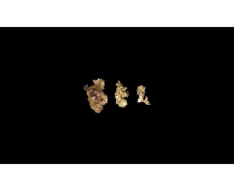 A group of three crystalline native gold nuggets in plastic display box. See Bonewitz, Dr. Ronald Louis, Rocks & Minerals, 20