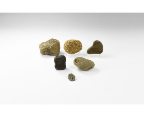 Carboniferous-Jurassic Period, 359-145 million years BP. A group of six Yorkshire fossils comprising one jet, one coral, one 