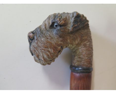 A well carved walking stick with dogs head handle having painted highlights and glass eyes - 97cm long 
Condition report: som