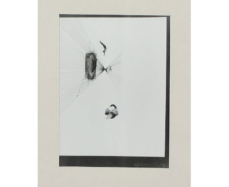 Moholy-Nagy, László (1895 Bacsborsod/Ungarn - 1946 Chicago), nach "Leda und der Schwan 1925". Silbergelatine auf Fotopapier (