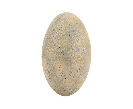 A velociraptor nest egg from Steven Spielberg's Academy Award®-winning sci-fi adventure Jurassic Park. Several eggs were seen
