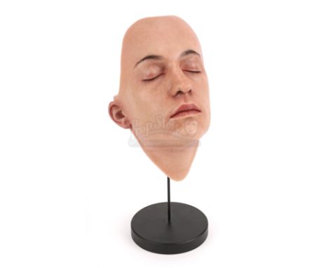 Ava's (Alicia Vikander) humanoid A.I. face display from Alex Garland's sci-fi thriller Ex Machina. Faces were among the many 