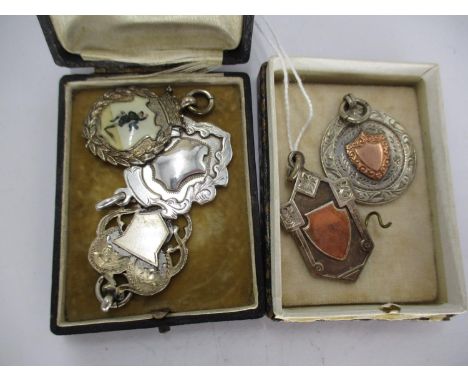 Two Silver Prize Medals with Gold Shields and Three Silver Prize Medals 