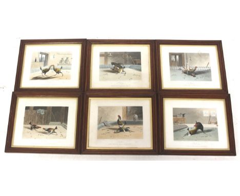 N Fielding, a set of six 'cock fighting' prints. Published 1853 by R. Ackermann. Framed and glazed. 27cm x 22cm