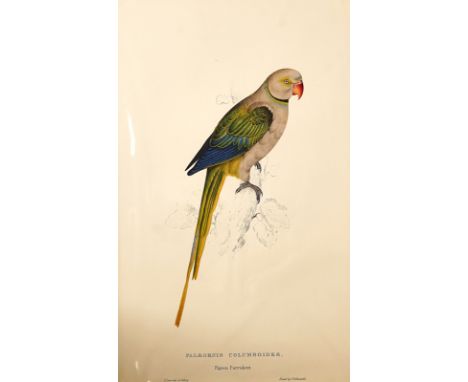 AFTER EDWARD LEARThe family of Psittacidae or Parrotsedition number 2/530twenty eight lithographs in colourspublished by Pion