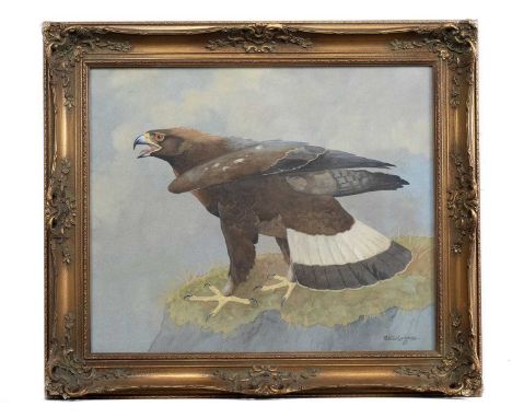 * RALSTON GUDGEON RSW (SCOTTISH 1910 - 1984), GOLDEN EAGLE watercolour on paper, signedframed and under glassimage size 49cm 