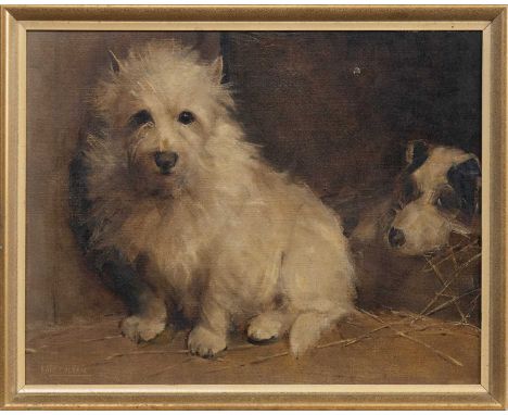 SAMUEL FULTON (SCOTTISH 1855 - 1941), CAIRN TERRIER oil on canvas, signedframedimage size 36cm x 46cm, overall size 40cm x 50