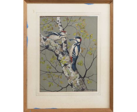 * RALSTON GUDGEON RSW (SCOTTISH 1910 - 1984), GREAT SPOTTED WOODPECKER AND FLEDGELING watercolour on paper, signed, titled ve