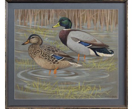 * RALSTON GUDGEON RSW (SCOTTISH 1910 - 1984), TWO DUCKS watercolour on paper, signedmounted, framed and under glassimage size