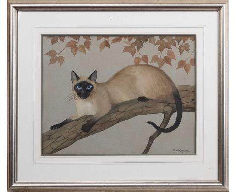 * RALSTON GUDGEON RSW (SCOTTISH 1910 - 1984), SIAMESE CAT watercolour on paper, signedmounted, framed and under glassimage si