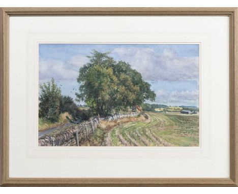 * JAMES MCINTOSH PATRICK OBE RSA ROI (SCOTTISH 1907 - 1998), DRONLEY ROAD NEAR DRONLEY BRIDGE (BELOW BIRKHILL) watercolour on