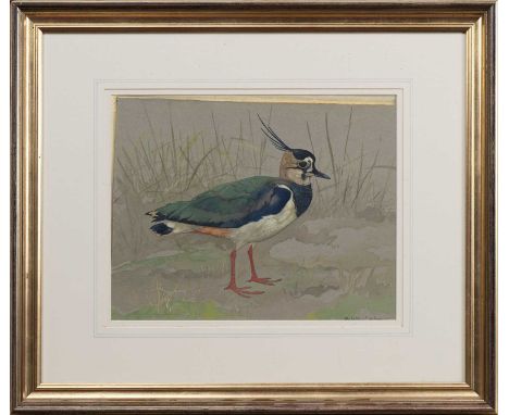 * RALSTON GUDGEON RSW (SCOTTISH 1910 - 1984), PEEWIT  watercolour on paper, signed, titled versomounted, framed and under gla