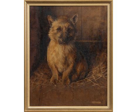 SAMUEL FULTON (SCOTTISH 1855 - 1941), NORWICH TERRIER oil on canvas, signedframedimage size 46cm x 36cm, overall size 50cm x 