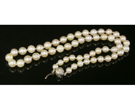 A single row graduated cultured pearl necklace,5.1 to 6.9mm in size, strung knotted to a Victorian diamond set clasp with an 