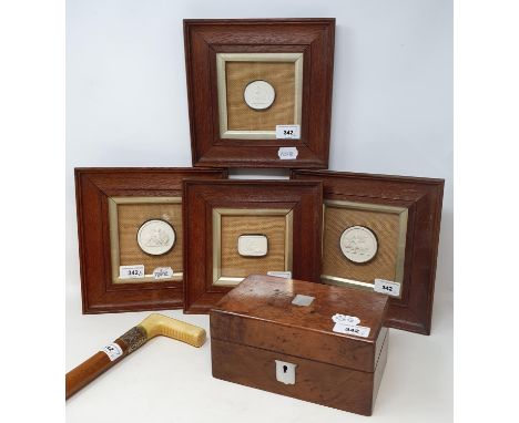 Four framed plaster intaglios, a walnut box, 20 cm wide, and an early 20th century walking stick, with an ivory handle, 84 cm