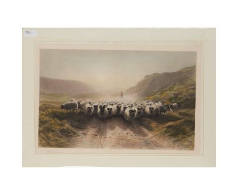  Farquharson, Joseph [Lithograph] Flock of Sheep with Shepherd London: C.E. Clifford & Co., 1899, hand-coloured lithograph, 5