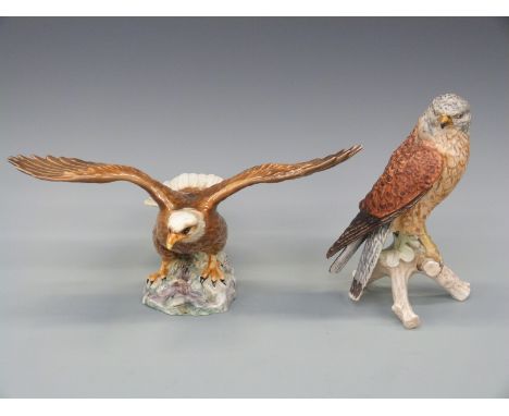 A Beswick model of a bald eagle and a Goebel model of a kestrel